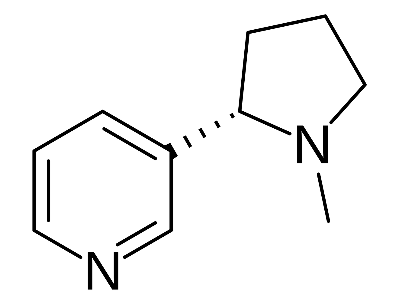 Skeletal chemical drawing of the nicotine molecule