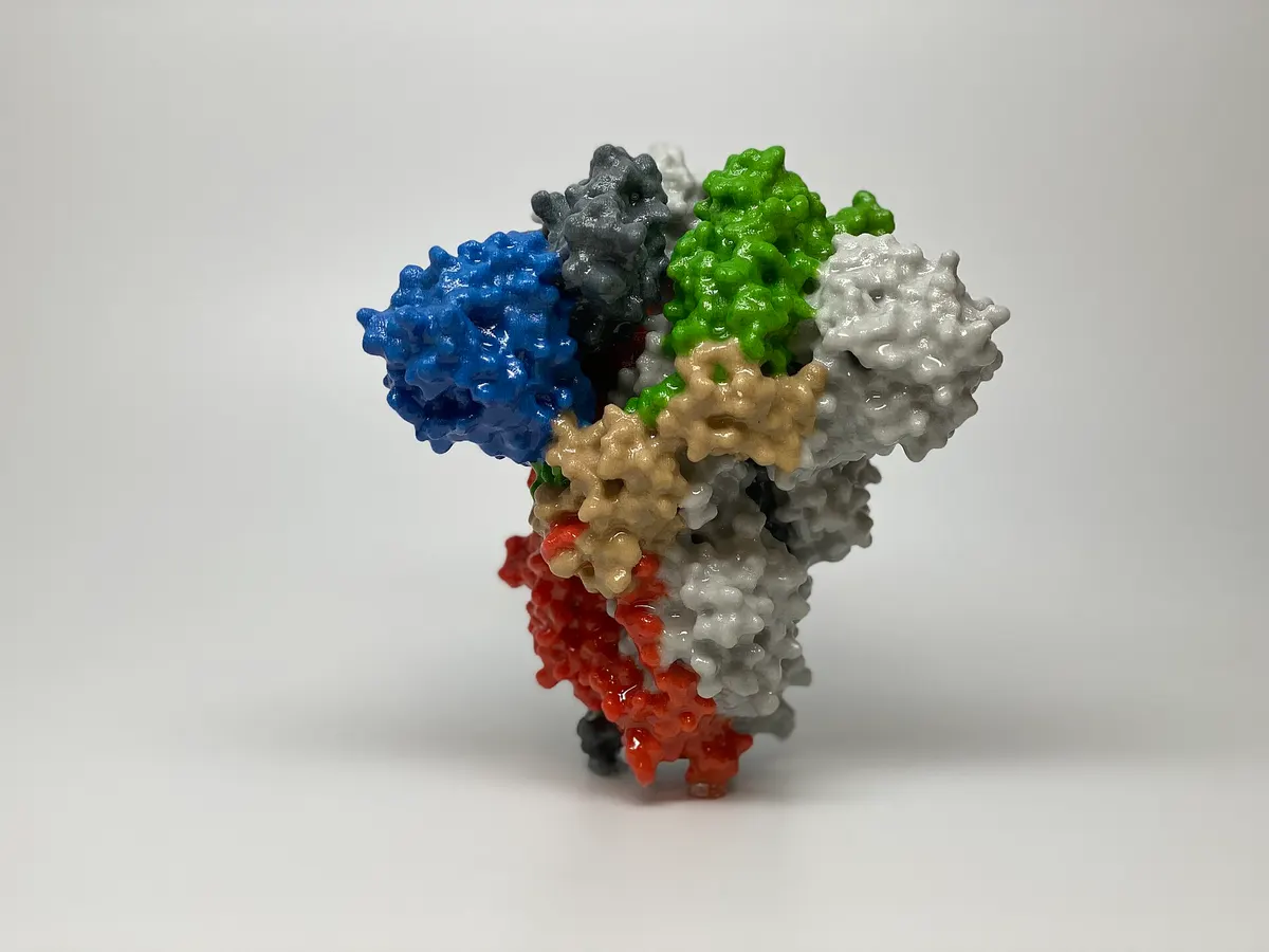A coloured 3D model of the SARS-CoV-2 spike protein, three copies joined together