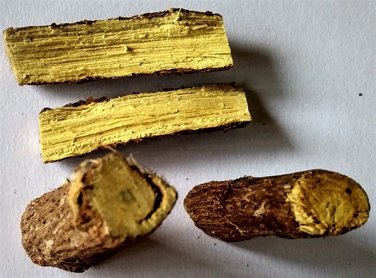 Cut sections of liquorice root